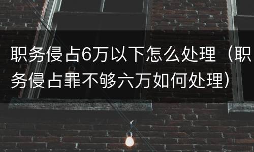 职务侵占6万以下怎么处理（职务侵占罪不够六万如何处理）
