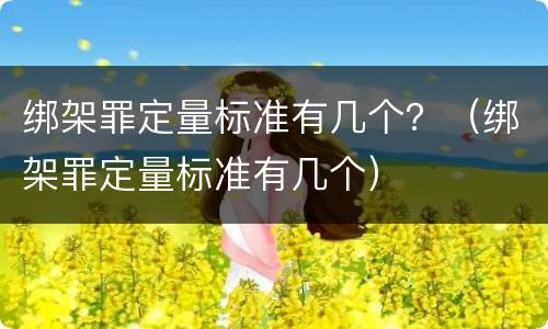绑架罪定量标准有几个？（绑架罪定量标准有几个）