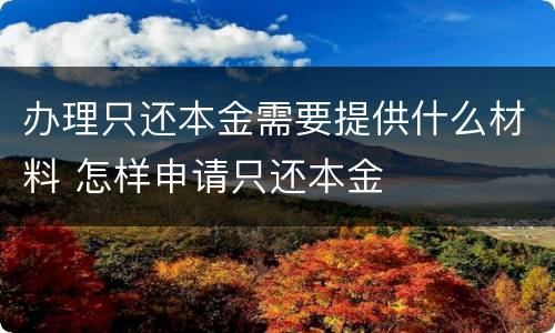 办理只还本金需要提供什么材料 怎样申请只还本金