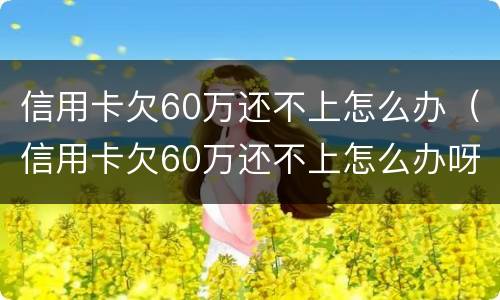 信用卡欠60万还不上怎么办（信用卡欠60万还不上怎么办呀）
