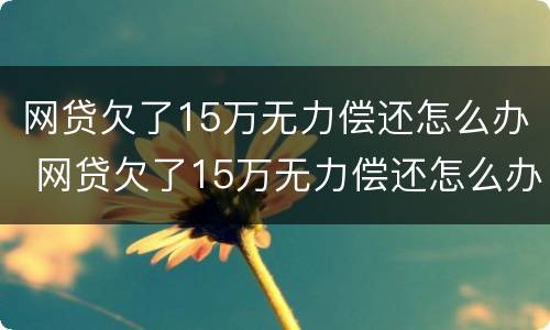 网贷欠了15万无力偿还怎么办 网贷欠了15万无力偿还怎么办理