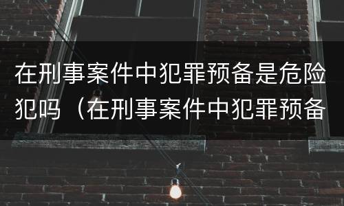 在刑事案件中犯罪预备是危险犯吗（在刑事案件中犯罪预备是危险犯吗）