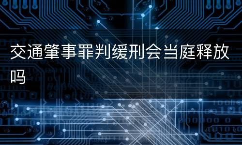 交通肇事罪判缓刑会当庭释放吗