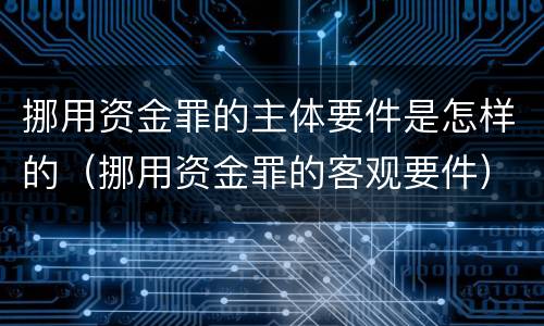 挪用资金罪的主体要件是怎样的（挪用资金罪的客观要件）