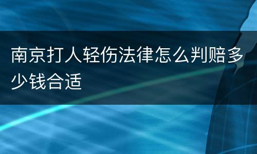 南京打人轻伤法律怎么判赔多少钱合适