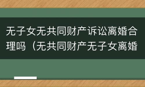 无子女无共同财产诉讼离婚合理吗（无共同财产无子女离婚需要什么）