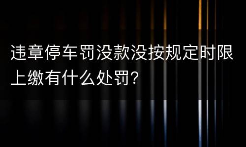 违章停车罚没款没按规定时限上缴有什么处罚？