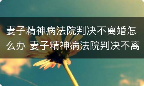 妻子精神病法院判决不离婚怎么办 妻子精神病法院判决不离婚怎么办理