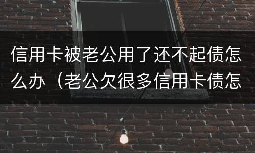 信用卡被老公用了还不起债怎么办（老公欠很多信用卡债怎么办）