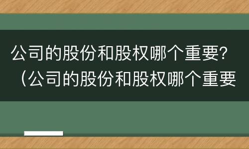 公司的股份和股权哪个重要？（公司的股份和股权哪个重要些）