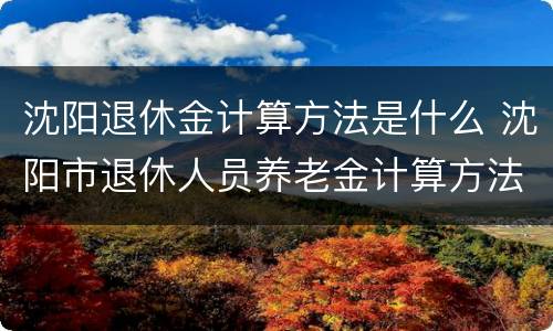 沈阳退休金计算方法是什么 沈阳市退休人员养老金计算方法