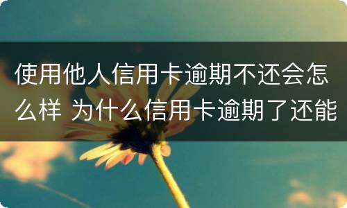 使用他人信用卡逾期不还会怎么样 为什么信用卡逾期了还能用