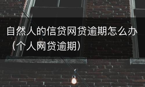 自然人的信贷网贷逾期怎么办（个人网贷逾期）