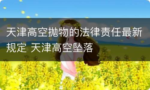 天津高空抛物的法律责任最新规定 天津高空坠落