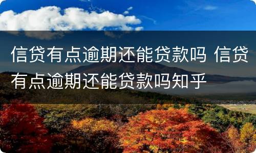信贷有点逾期还能贷款吗 信贷有点逾期还能贷款吗知乎