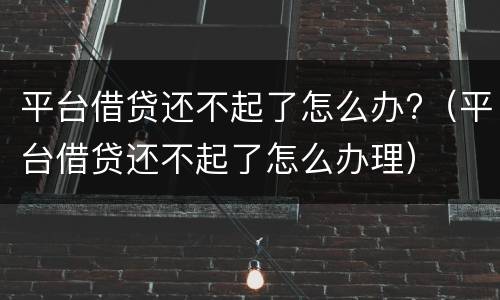平台借贷还不起了怎么办?（平台借贷还不起了怎么办理）