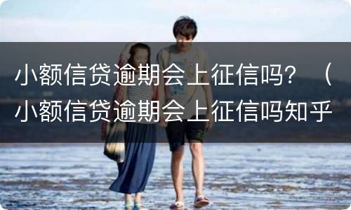 小额信贷逾期会上征信吗？（小额信贷逾期会上征信吗知乎）