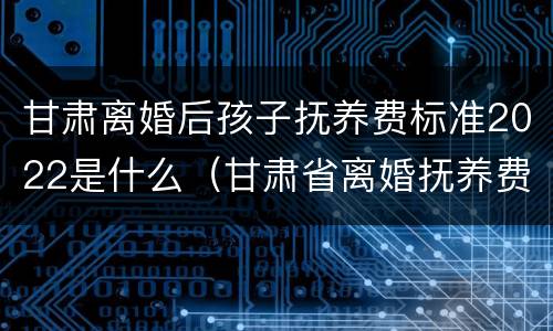 甘肃离婚后孩子抚养费标准2022是什么（甘肃省离婚抚养费标准）