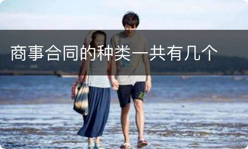商事合同的种类一共有几个
