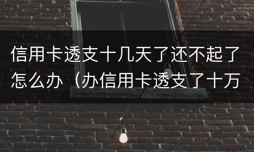 信用卡透支十几天了还不起了怎么办（办信用卡透支了十万没钱还了怎么办）