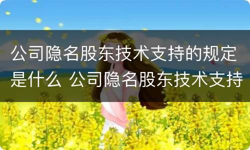 公司隐名股东技术支持的规定是什么 公司隐名股东技术支持的规定是什么意思