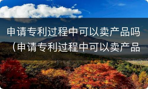 申请专利过程中可以卖产品吗（申请专利过程中可以卖产品吗）