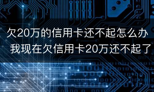 欠20万的信用卡还不起怎么办 我现在欠信用卡20万还不起了怎么办