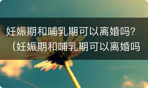 妊娠期和哺乳期可以离婚吗？（妊娠期和哺乳期可以离婚吗知乎）