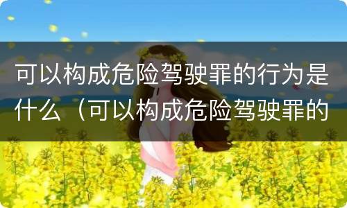 可以构成危险驾驶罪的行为是什么（可以构成危险驾驶罪的行为是什么意思）
