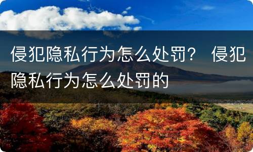 侵犯隐私行为怎么处罚？ 侵犯隐私行为怎么处罚的