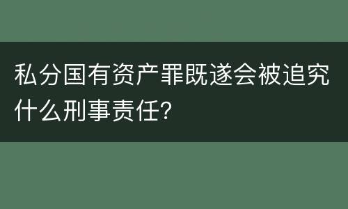 私分国有资产罪既遂会被追究什么刑事责任？