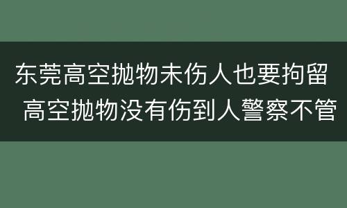 东莞高空抛物未伤人也要拘留 高空抛物没有伤到人警察不管