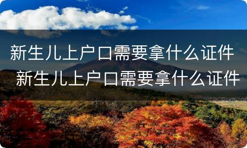 新生儿上户口需要拿什么证件 新生儿上户口需要拿什么证件手续?