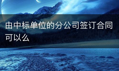 由中标单位的分公司签订合同可以么