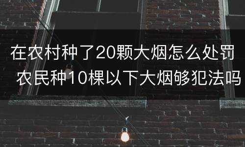 在农村种了20颗大烟怎么处罚 农民种10棵以下大烟够犯法吗