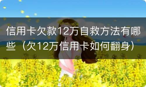 信用卡欠款12万自救方法有哪些（欠12万信用卡如何翻身）