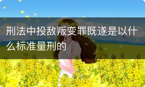 刑法中投敌叛变罪既遂是以什么标准量刑的
