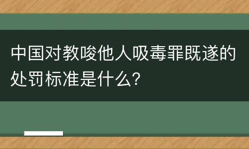 中国对教唆他人吸毒罪既遂的处罚标准是什么？