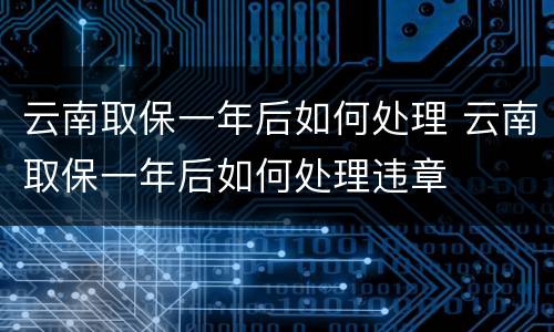 云南取保一年后如何处理 云南取保一年后如何处理违章