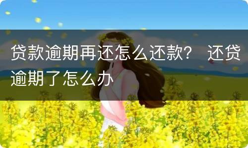 贷款逾期再还怎么还款？ 还贷逾期了怎么办