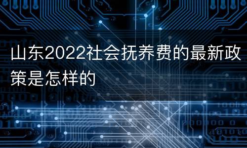 山东2022社会抚养费的最新政策是怎样的