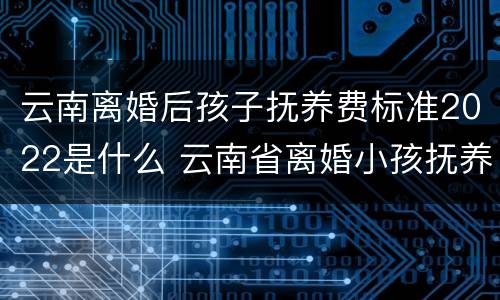 云南离婚后孩子抚养费标准2022是什么 云南省离婚小孩抚养费怎么算
