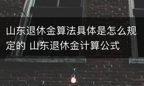 山东退休金算法具体是怎么规定的 山东退休金计算公式
