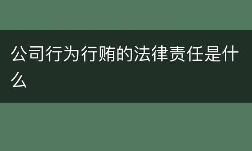 公司行为行贿的法律责任是什么
