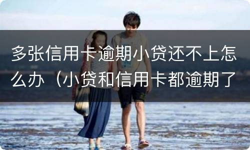 多张信用卡逾期小贷还不上怎么办（小贷和信用卡都逾期了怎么办）