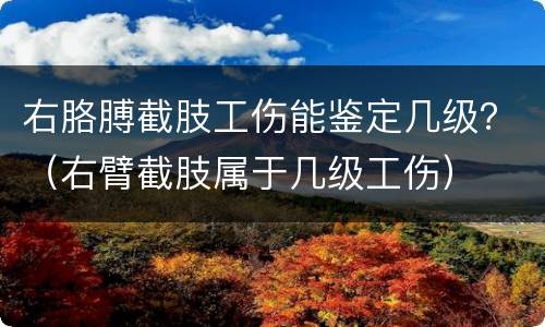 右胳膊截肢工伤能鉴定几级？（右臂截肢属于几级工伤）
