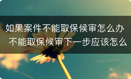 如果案件不能取保候审怎么办 不能取保候审下一步应该怎么办