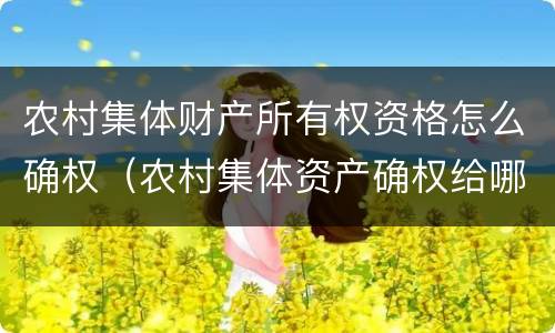 农村集体财产所有权资格怎么确权（农村集体资产确权给哪些人）