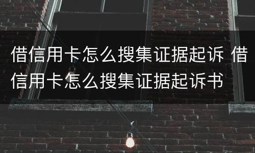 借信用卡怎么搜集证据起诉 借信用卡怎么搜集证据起诉书