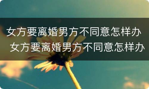 女方要离婚男方不同意怎样办 女方要离婚男方不同意怎样办理